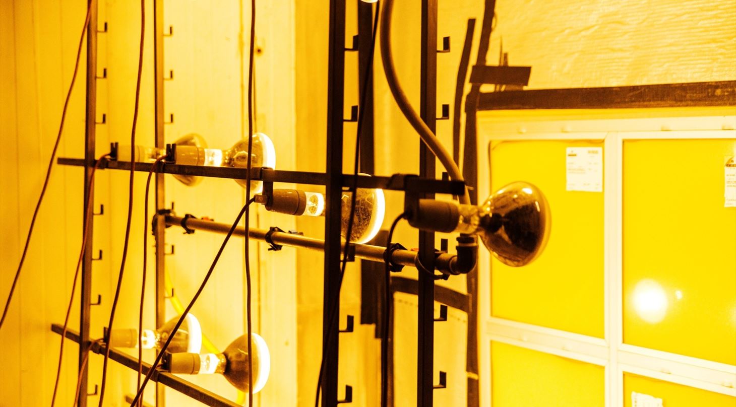 �ldning - Klimakammer